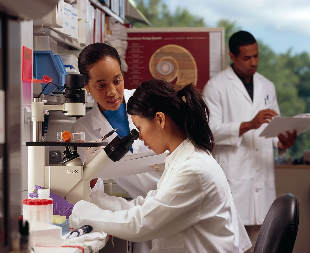 Ipsen acquires Memo Therapeutics